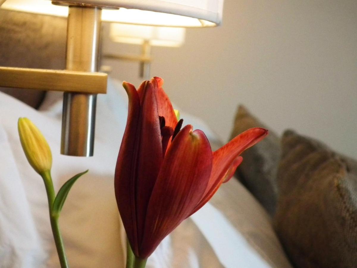 Hotel K Bahía Inglesa Eksteriør bilde